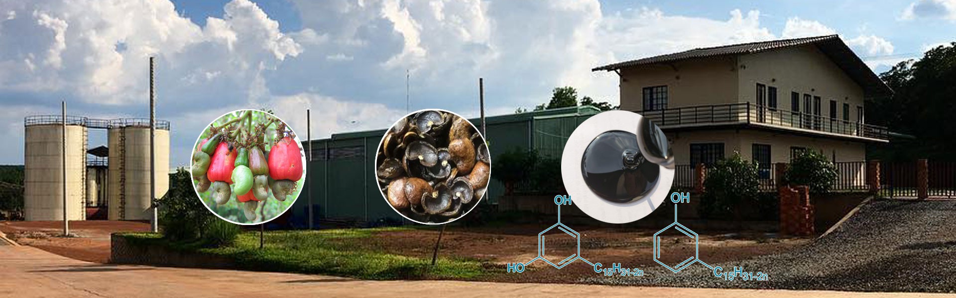 Refined CNSL, Premium Grade CNSL, Biofuel, Bio-Heavy Fuel Oil, Biogas, Biochar, Cashew Nut Shell Pellets