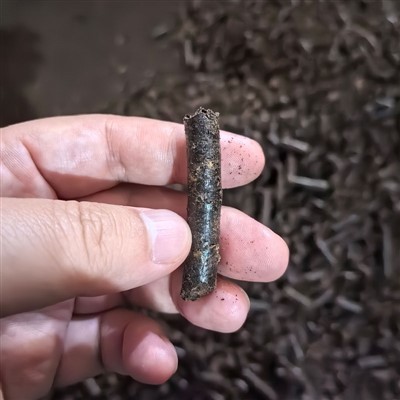 Cashew Shell Biomass Pellets